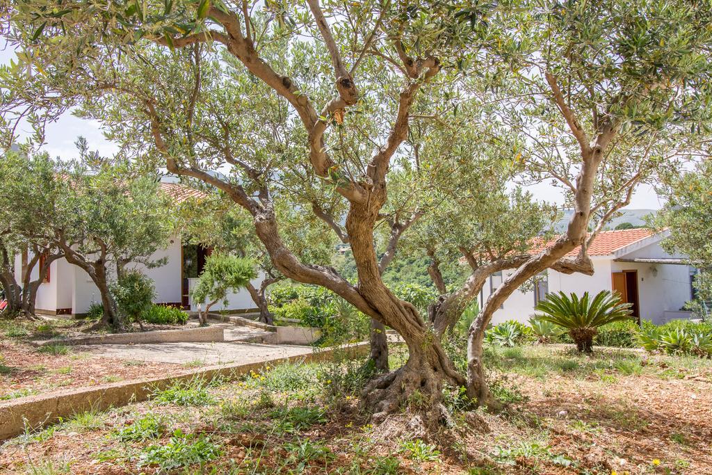 Casale La Macina Residence Scopello 스코펠로 외부 사진